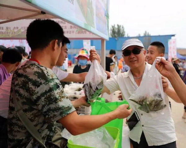 房寺镇首届粽子美食节共设立主会场和4个分会场